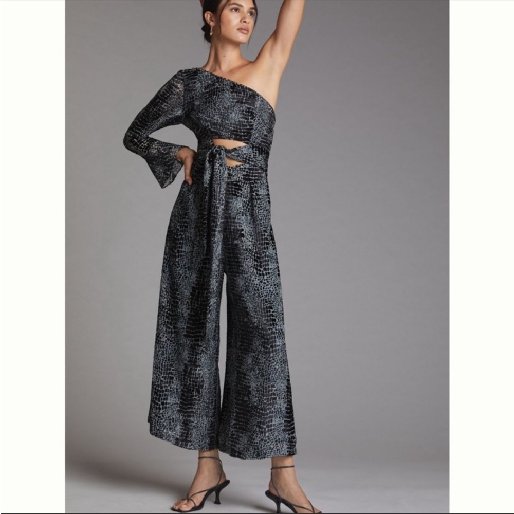 Anthropologie NWT Geisha Designs One-Shoulder Burnout Velvet Jumpsuit 
Size L.